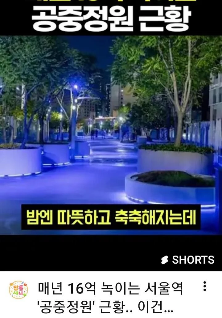 서울로7017 바퀴벌레 바글바글..외국인들 경악-6