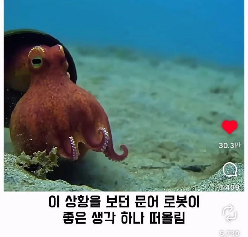 은혜갚는 문어-11