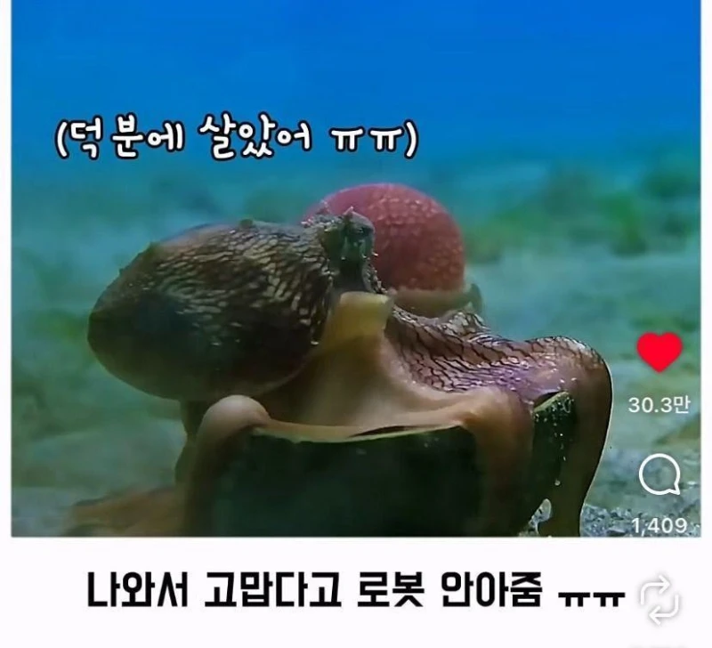 은혜갚는 문어-18