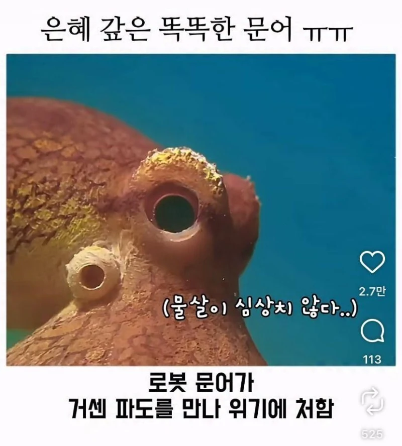 은혜갚는 문어-19