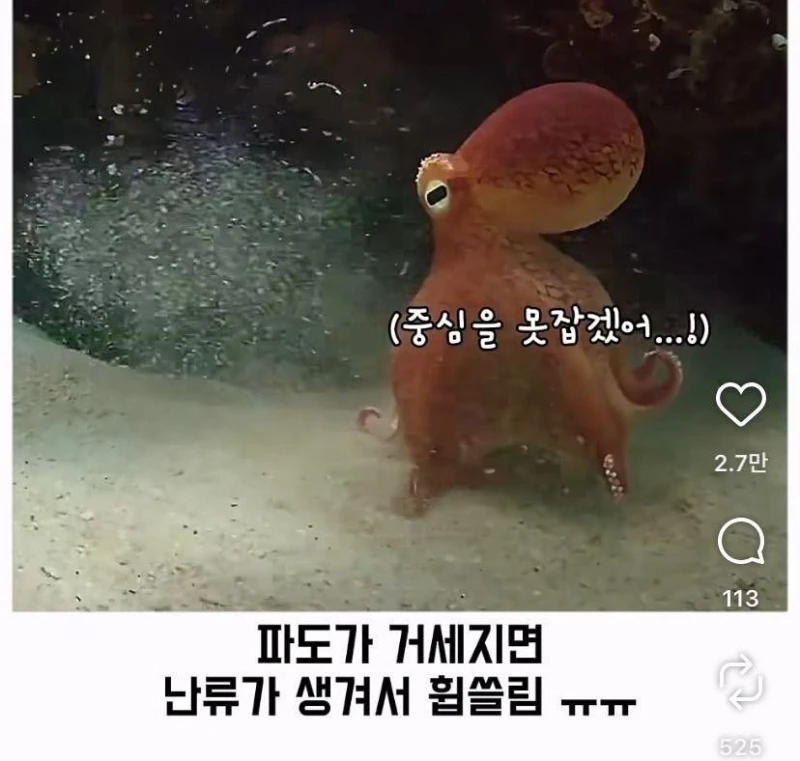 은혜갚는 문어-20