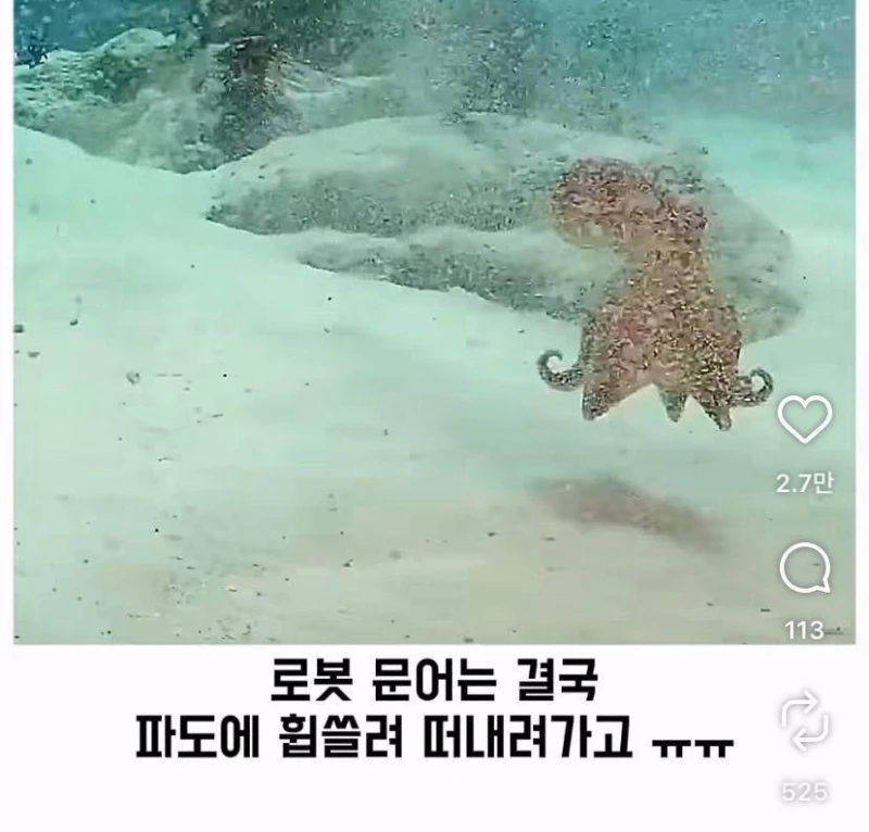 은혜갚는 문어-26