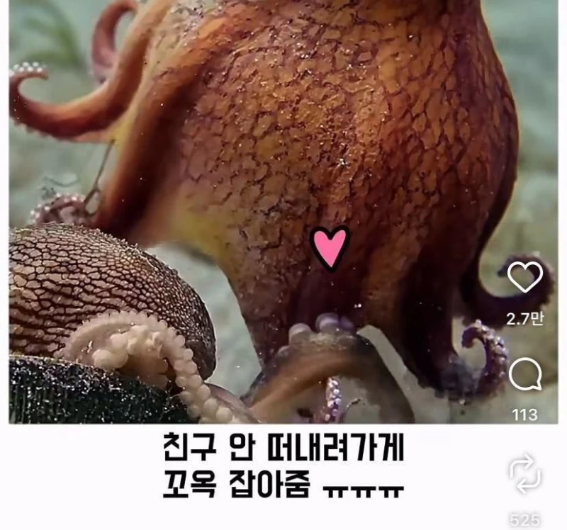 은혜갚는 문어-30