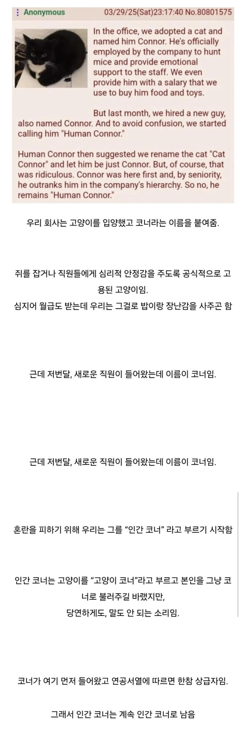 미국의 직장내 연공서열 문화.jpg