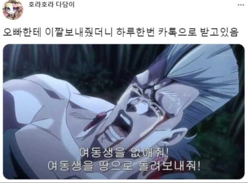 오빠한테 장난으로 짤보내줬는데