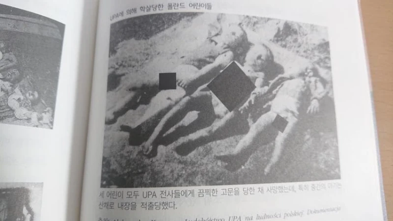 우크라이나가 신규 창설군단인 UPA의 전쟁범죄 이력과 폴란드와의 갈등