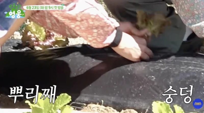남자들한테 일 시키면 안 되는 이유.jpg-9