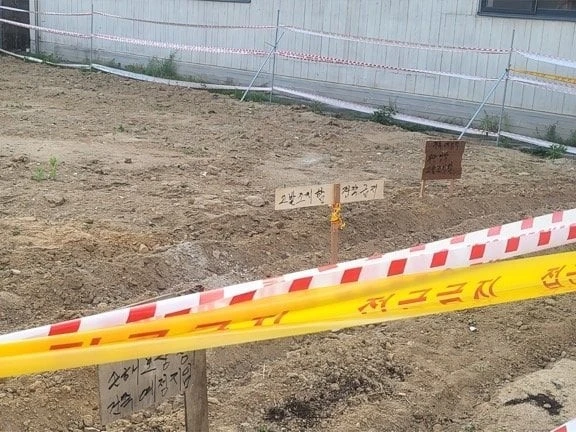 내 땅에 남이 무단 농사 지으면 무조건 막아야 하는 이유-2
