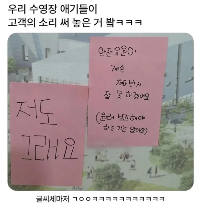 우리 수영장 애기들이 고객의 소리 써 놓은 거 봐