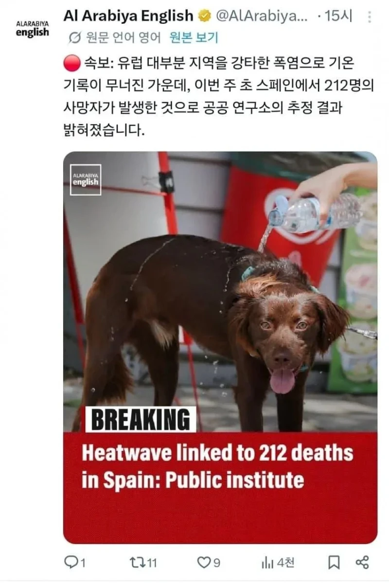 기후변화 때문에 지옥 같은 여름을 보내고 있다는 유럽-4
