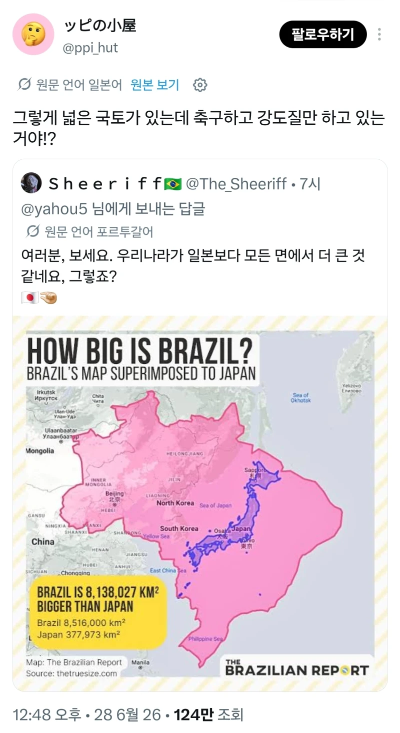 시비거는 브라질인 패는 일본인