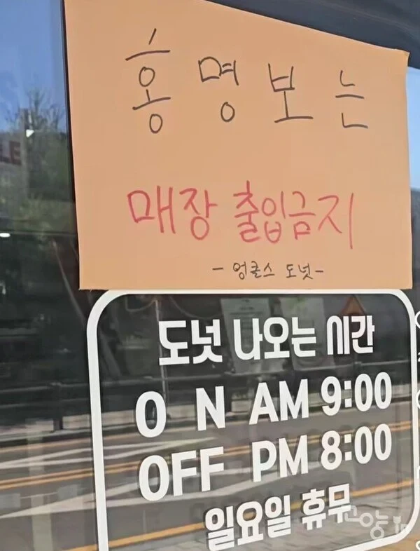 거제 야호 이후 한국에서 빠르게 유행중인 밈-4