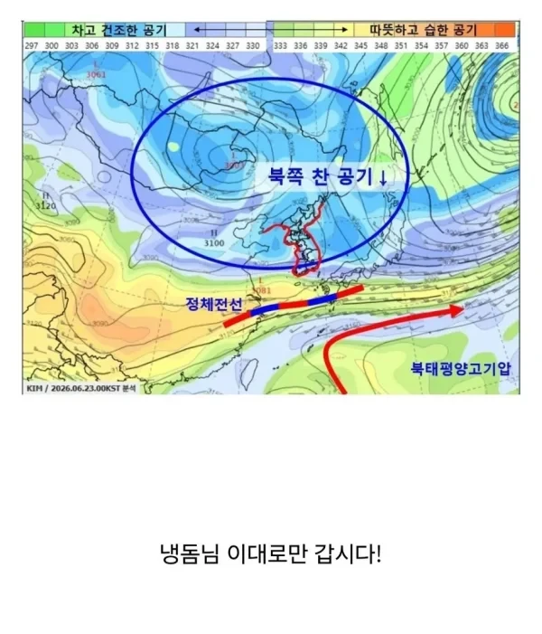 시원한 대한민국 여름 근황