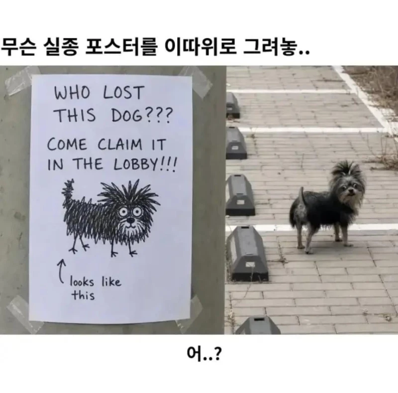 무슨 실종 포스터를 이따위로 그려놓..