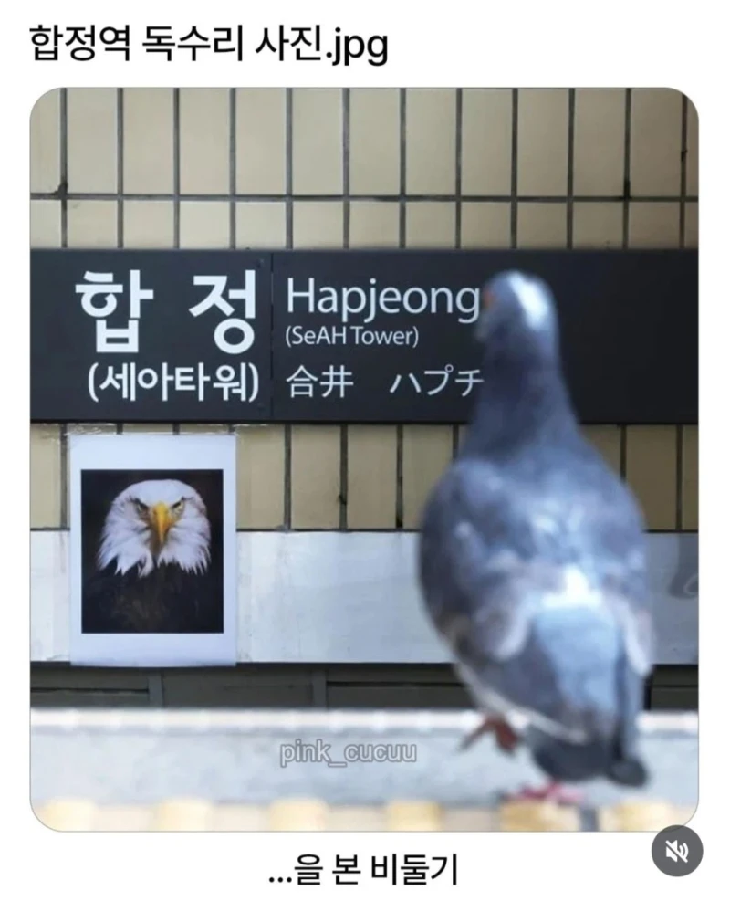합정역 독수리 사진