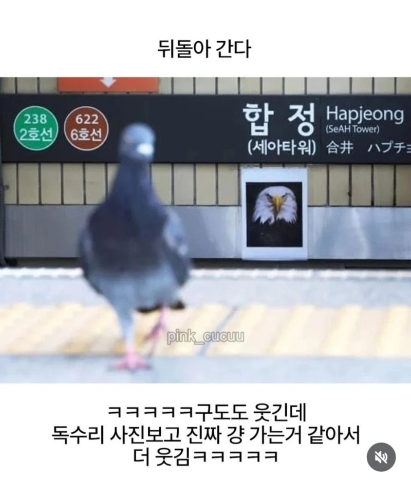 합정역 독수리 사진-2