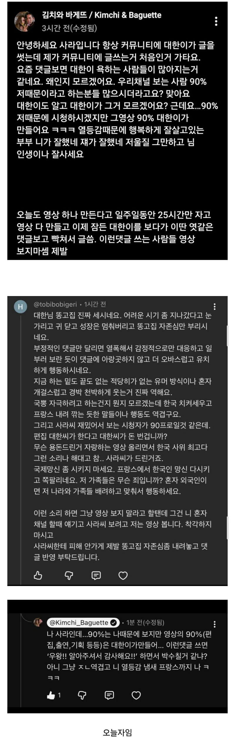 악플보고 댓글 단 유튜버 프랑스 아내