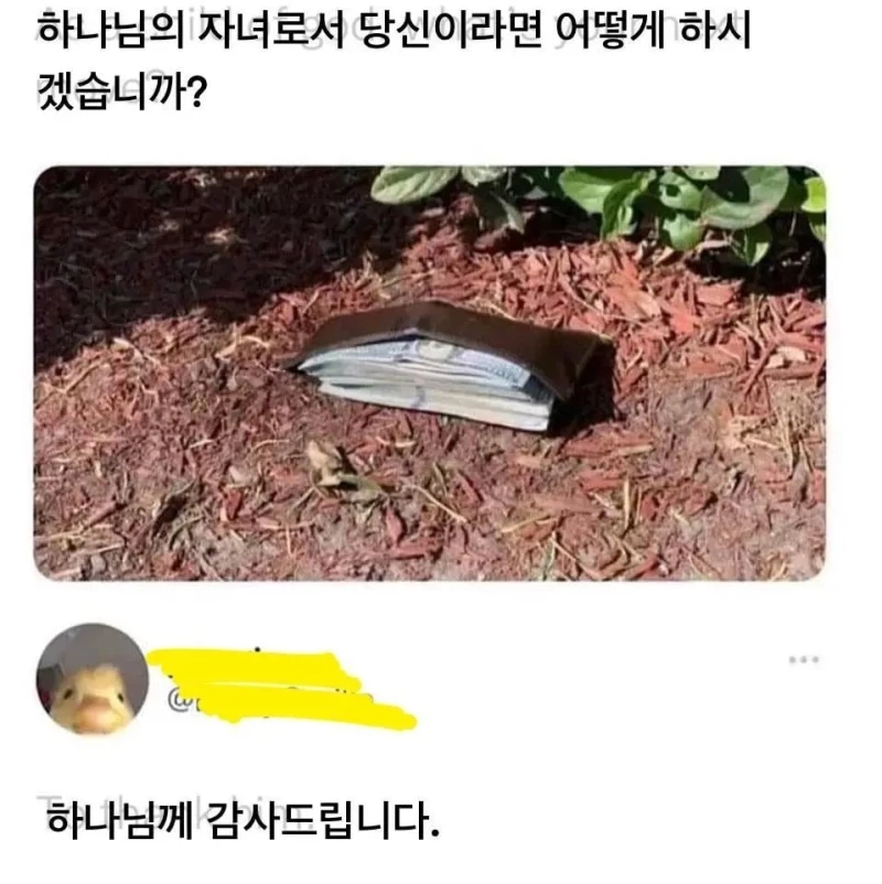 하나님의 자녀로서 당신은 어떻게 하시겠습니까?