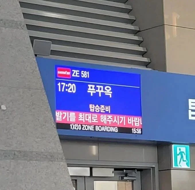 뭘 하라고?