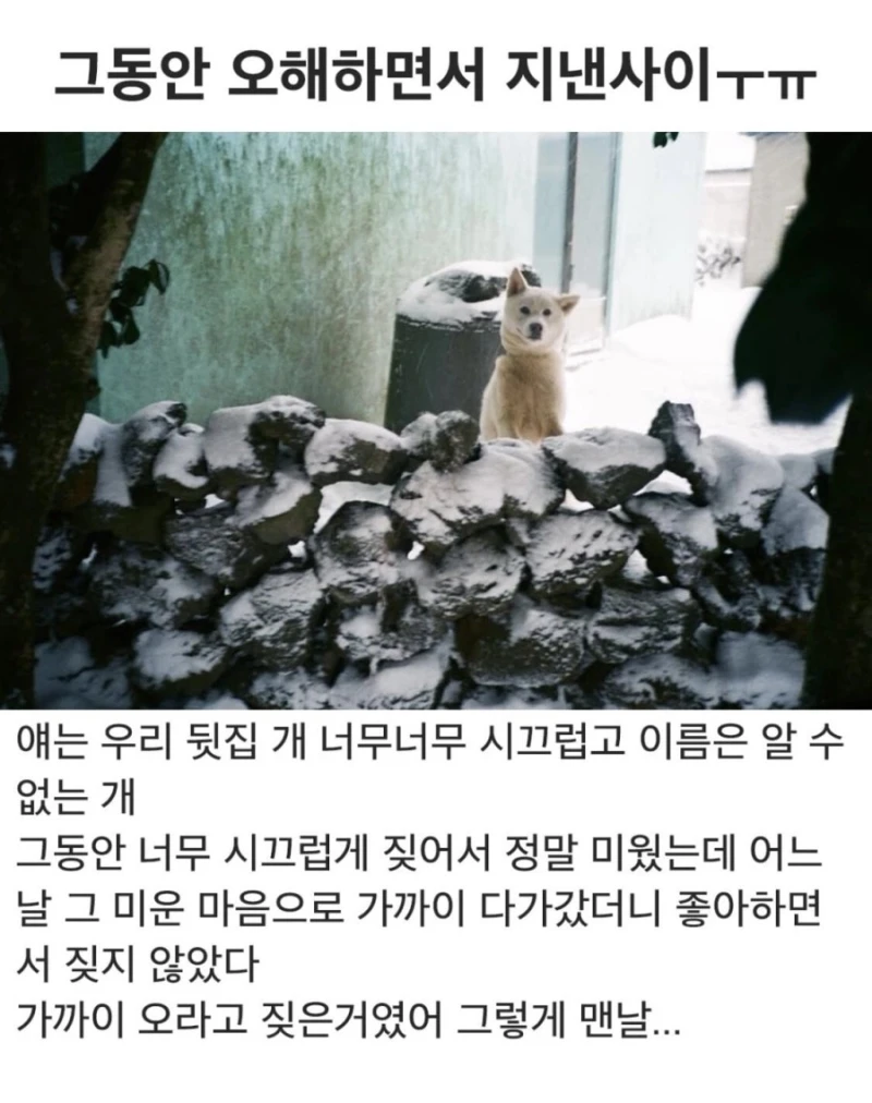 그동안 오해하면서 지낸사이ㅜㅠ
