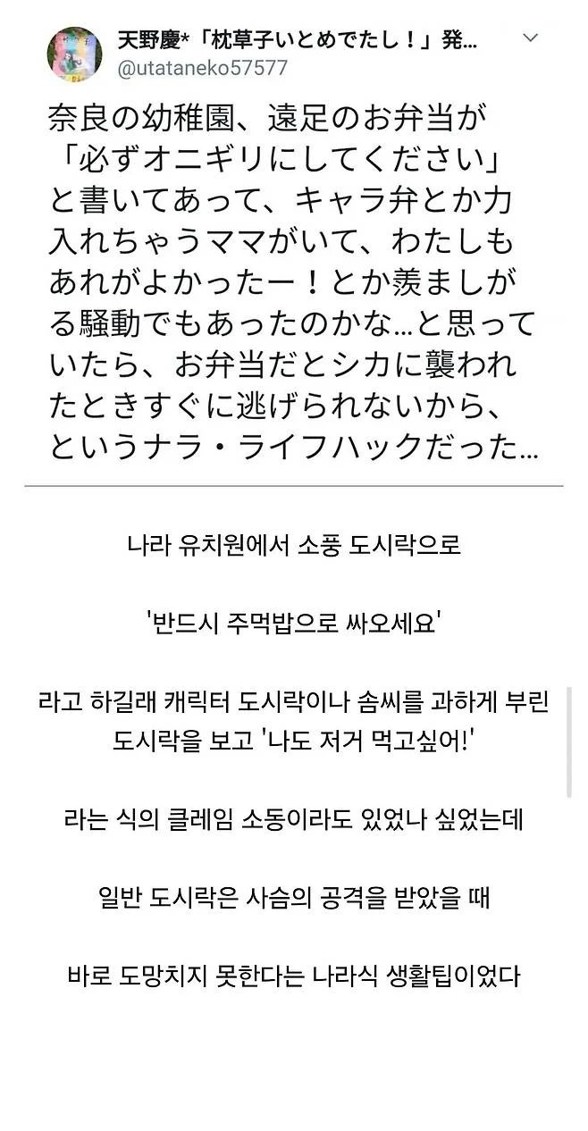 일본 유치원에서 소풍 도시락을 주먹밥으로 통일시킨 이유.