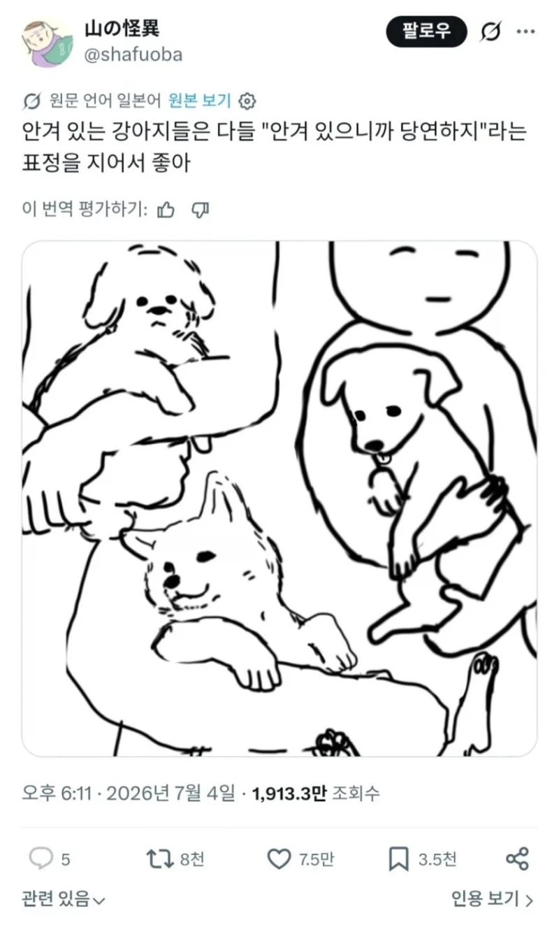 강아지 "난 안겨있는 게 당연해"