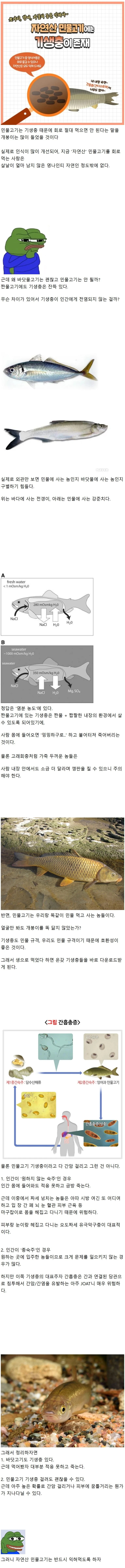 왜 민물고기 회는 안 되는데 바닷고기는 괜찮을까?