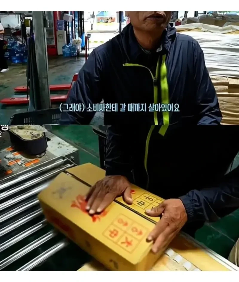 피해자들의 진술이 일관적이다-3