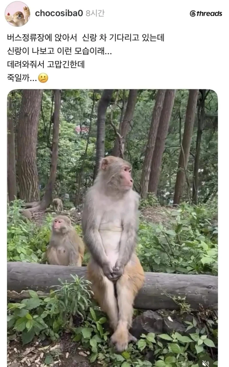 남편차 기다리는 부인 모습