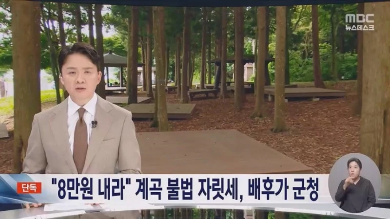 [단독] "8만원내라"계곡 불법 자릿세, 배후가 군청