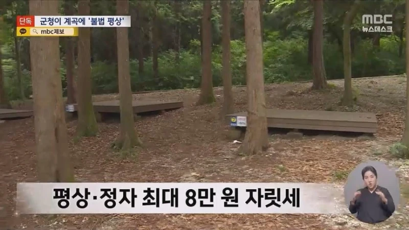 [단독] "8만원내라"계곡 불법 자릿세, 배후가 군청-3