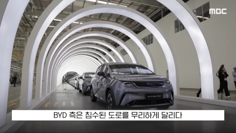 우리나라 수입차 판매4위 BYD 수준-15