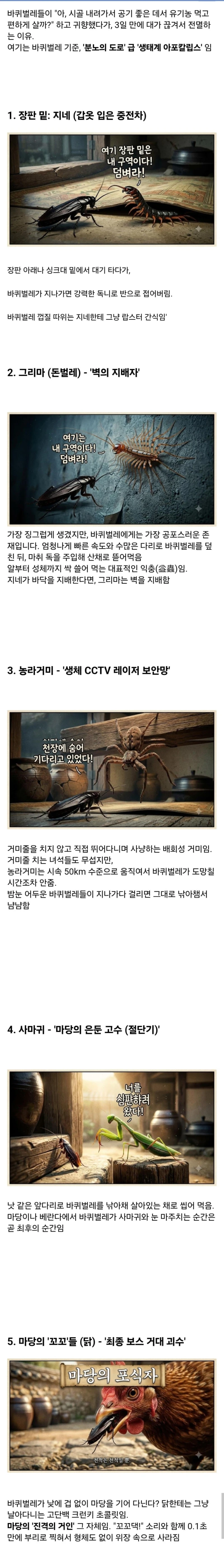 시골집에 오히려 바퀴벌레가 없는 이유