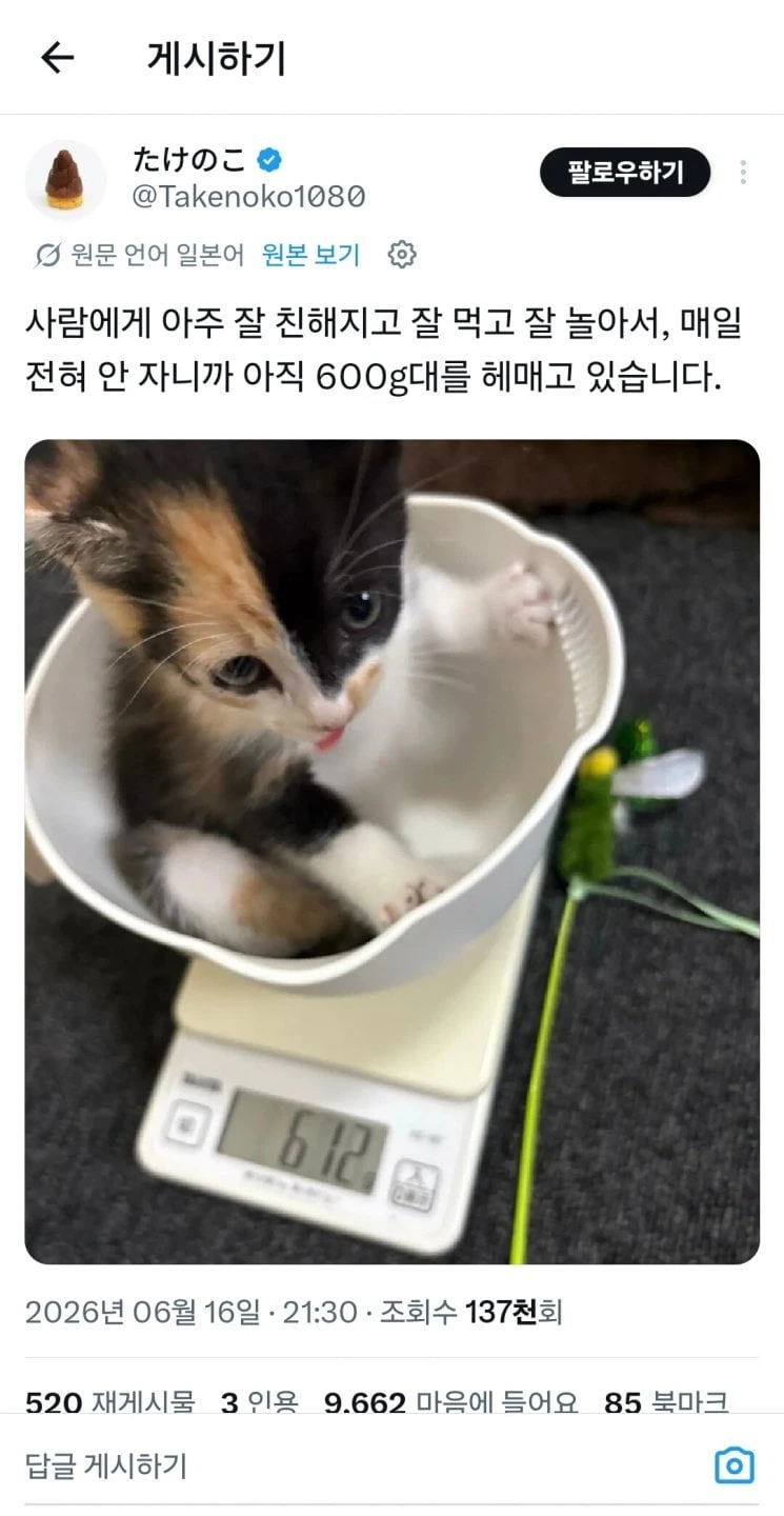 갑자기 나랑 결혼해줘서 고맙다는 남편.jpg-2