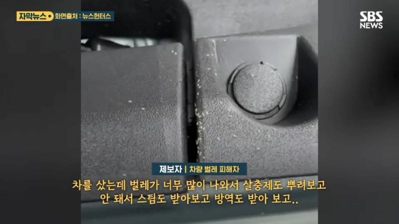 재고차를 샀는데 벌레도 보내 줌-2