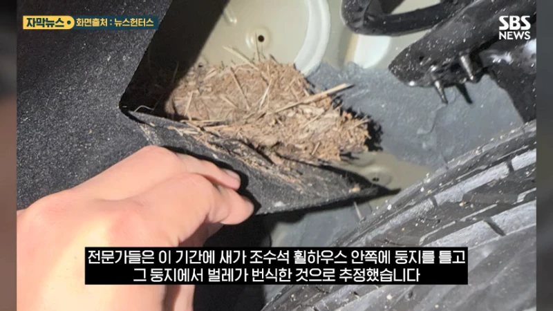 재고차를 샀는데 벌레도 보내 줌-4