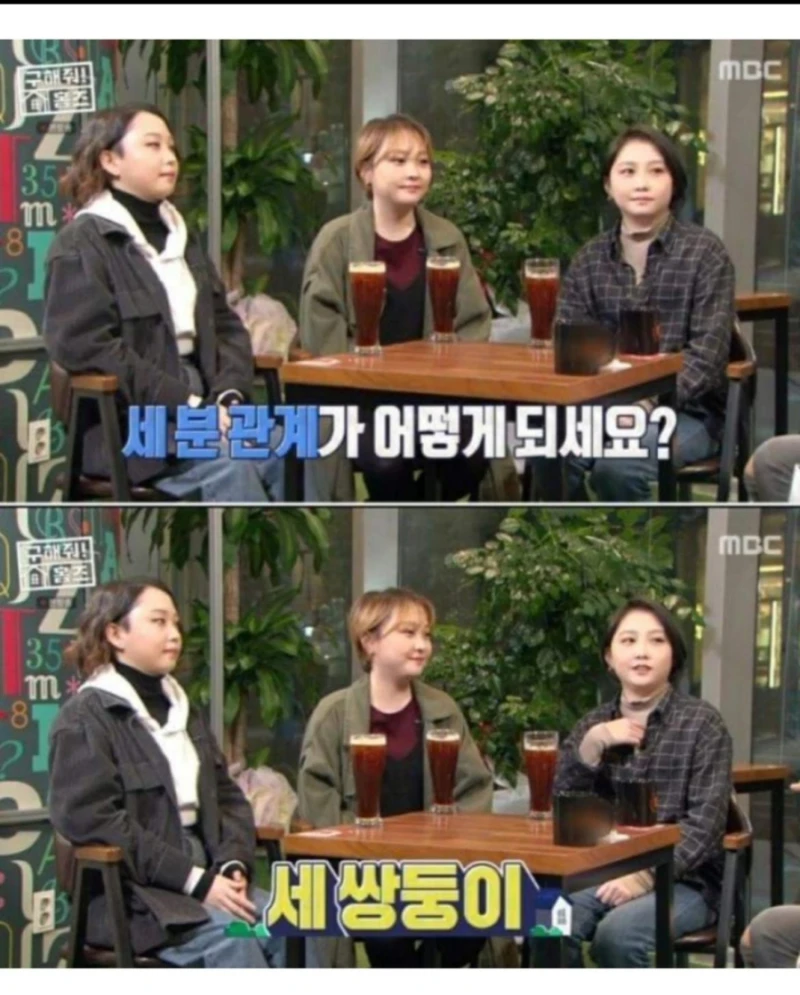 한국 현실판 이브이 세쌍둥이