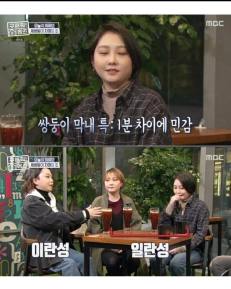 한국 현실판 이브이 세쌍둥이-3