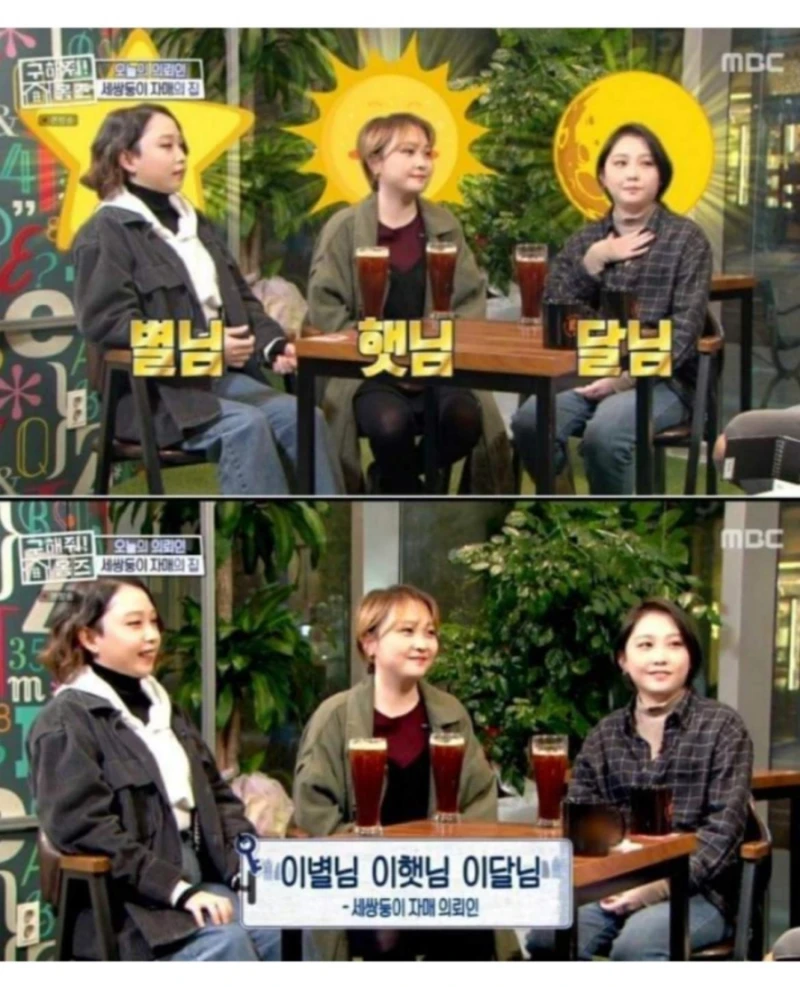 한국 현실판 이브이 세쌍둥이-4
