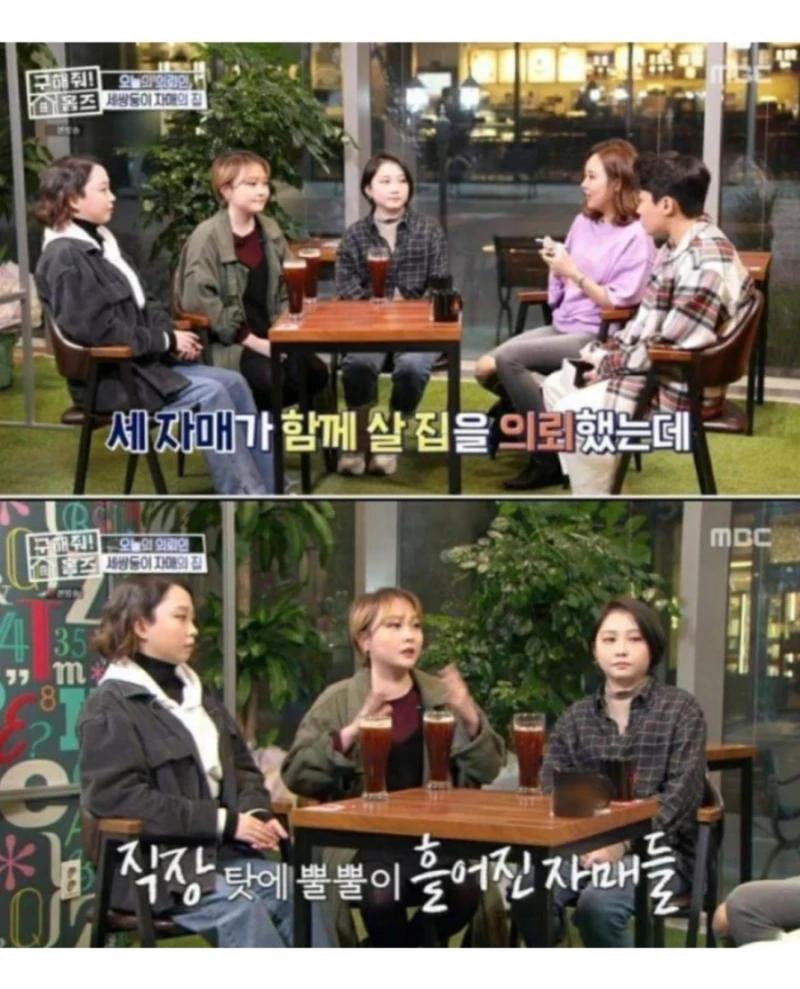한국 현실판 이브이 세쌍둥이-5