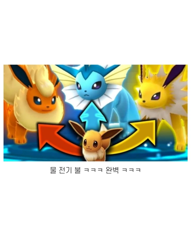 한국 현실판 이브이 세쌍둥이-14
