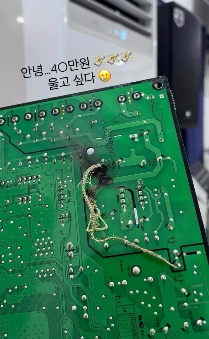 왜 거기에 있어....-2