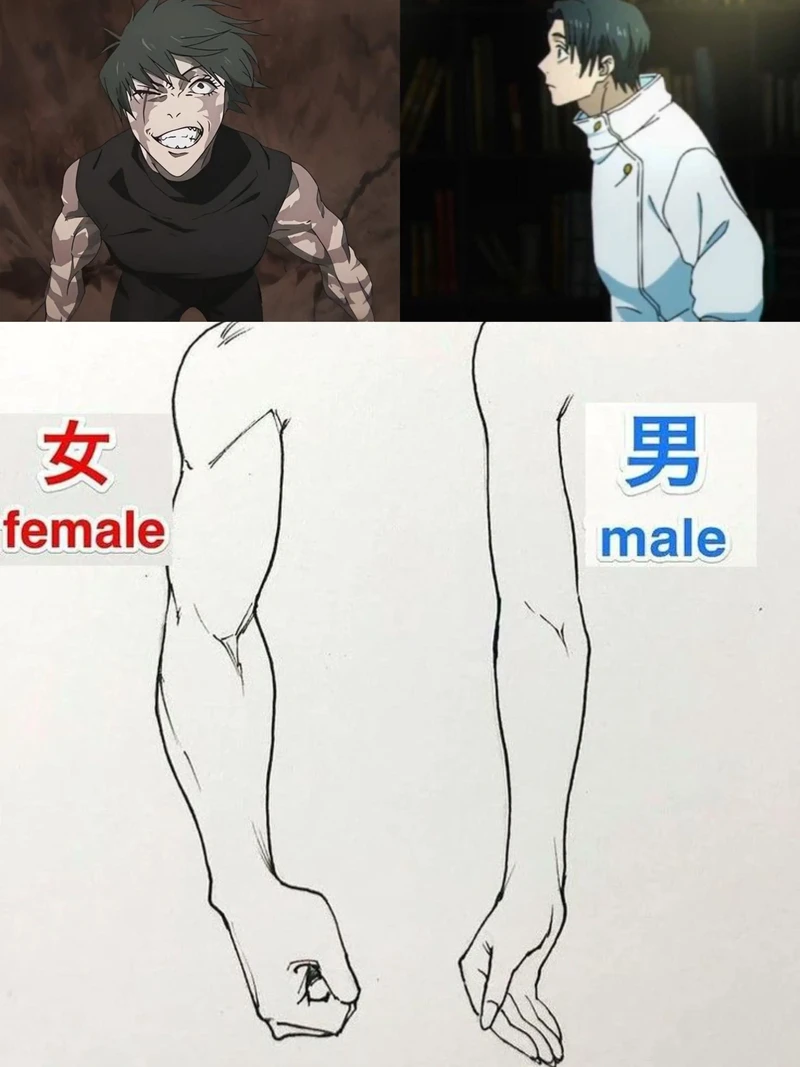 주술회전 여캐와 남캐의 팔 비교