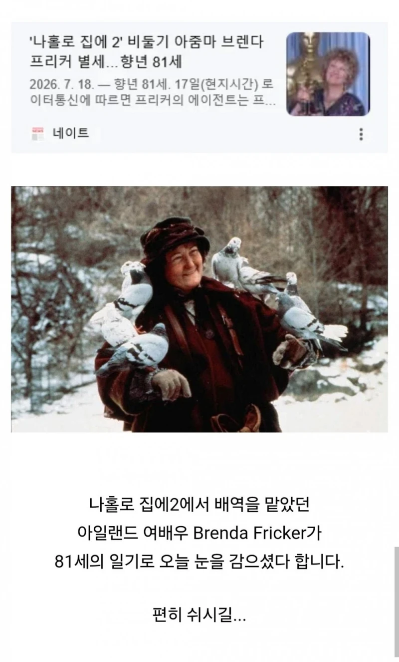 나홀로 집에 비둘기 할머니 별세