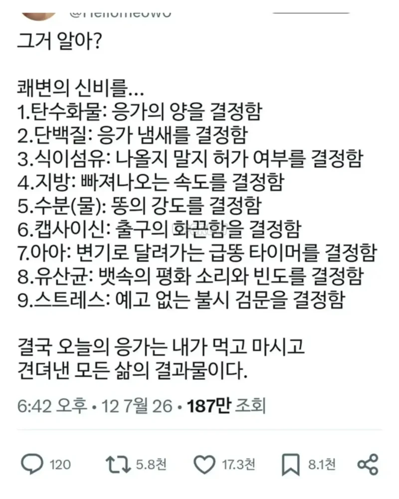 쾌변의 신비