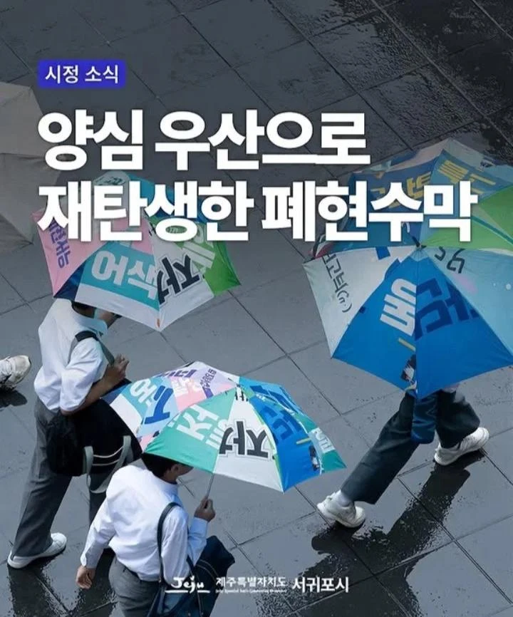 양심 우산으로 재탄생한 폐현수막