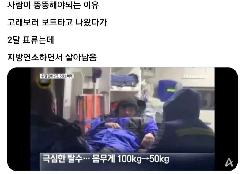 뚱뚱해서 살았다.