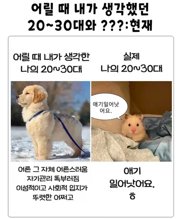 30대 특-2
