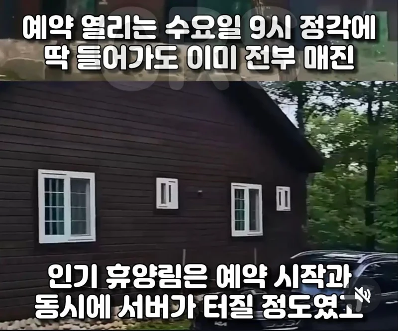 인기휴양림 예약이 불가능했던 이유
