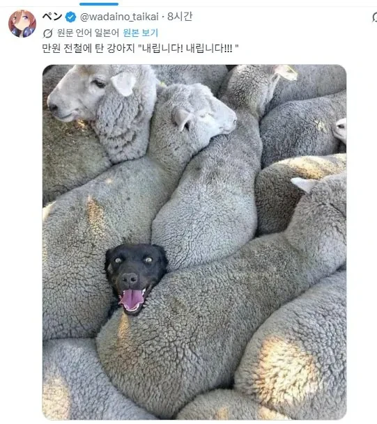 내릴게요 내릴게요!.jpg